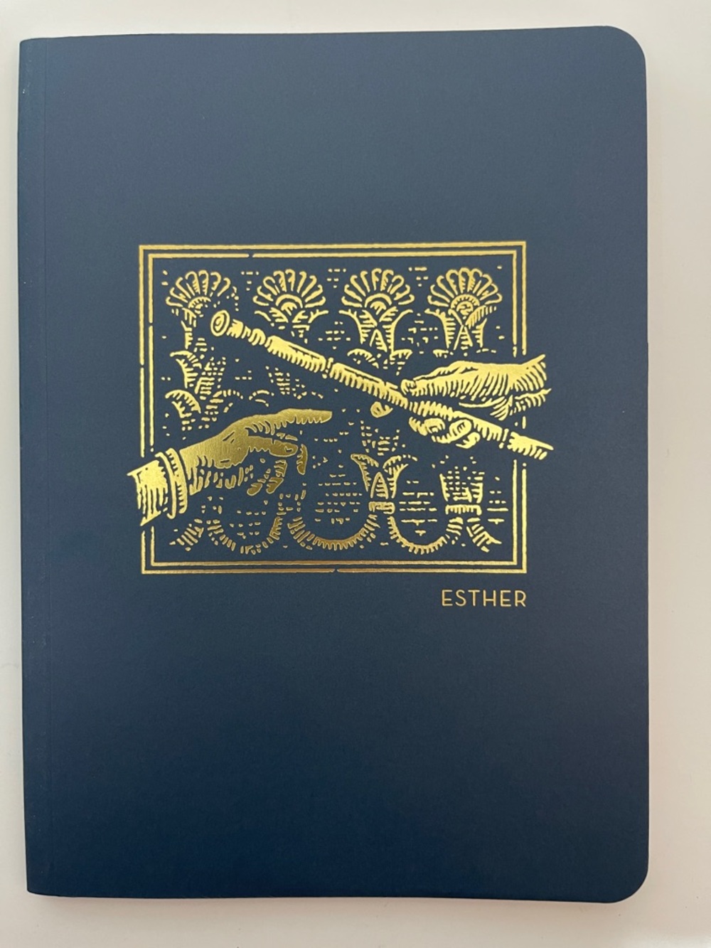3/$10 ESTHER NET Abide Interactive Journal Navy with Gold Foil Design